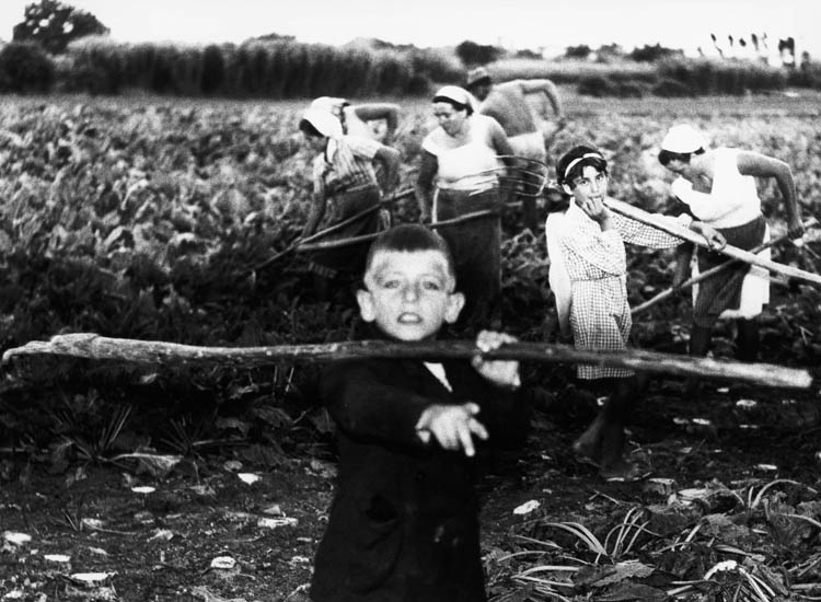 Mario Giacomelli, La buona terra (1964-1966) (© Archivio Mario Giacomelli, Senigallia).